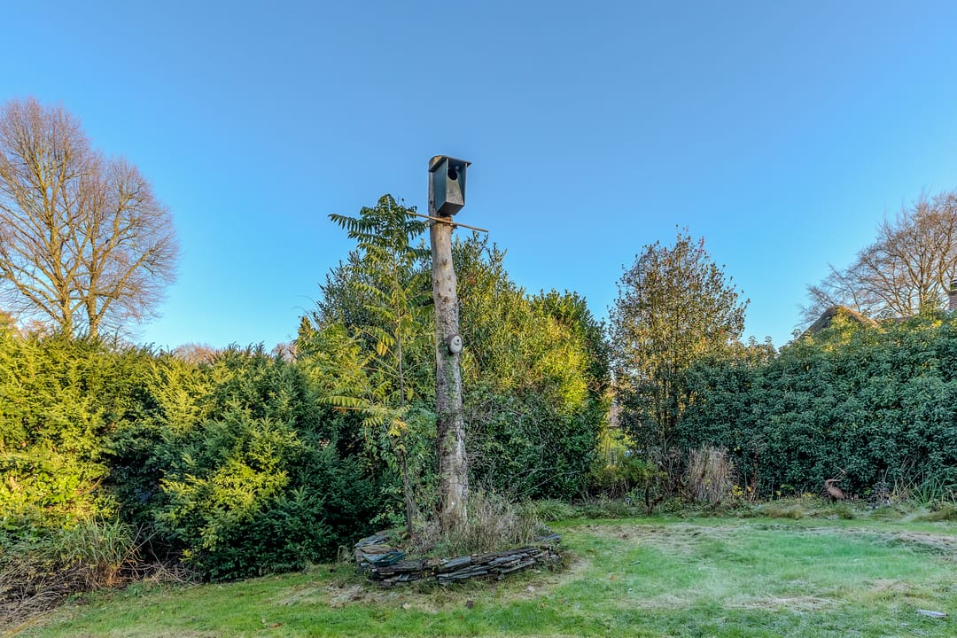 Foto 32 van de Genestetlaan 18-A