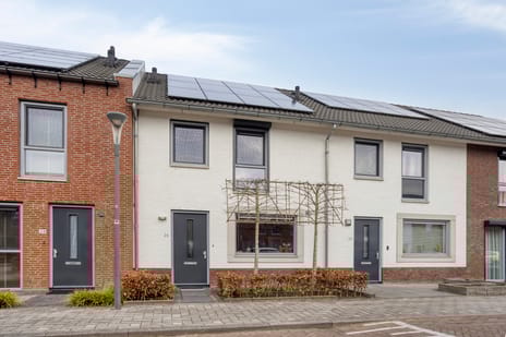 undefined main image