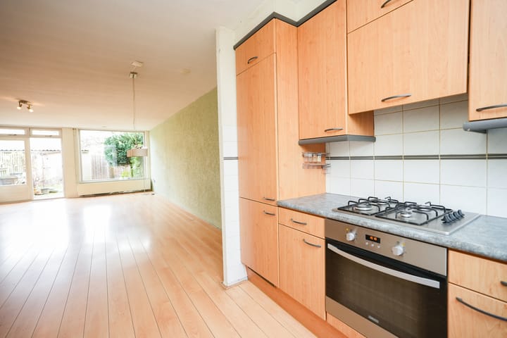 Foto 5 van Hoogmeer 2509