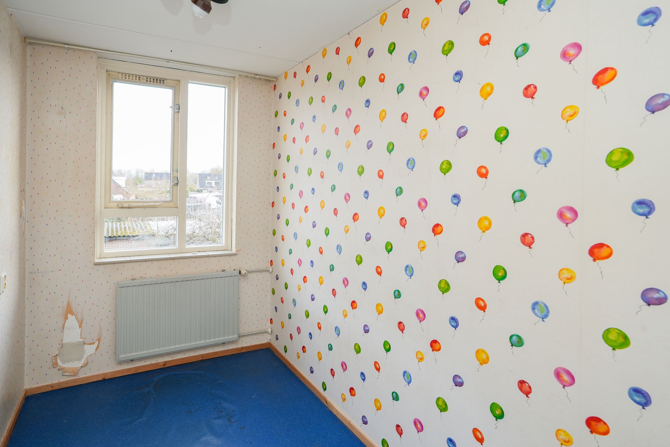 Foto 15 van Hoogmeer 2509