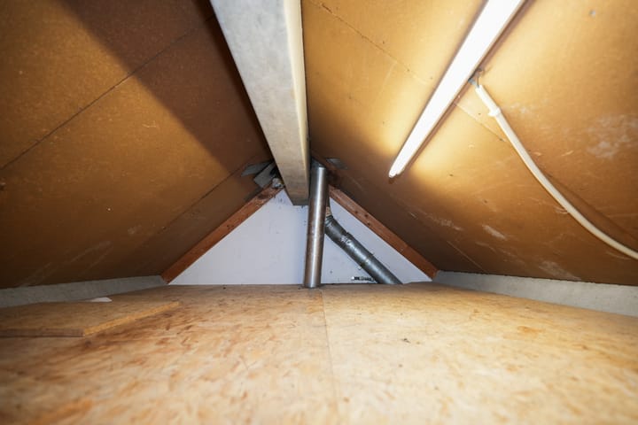 Foto 28 van Hoogmeer 2509