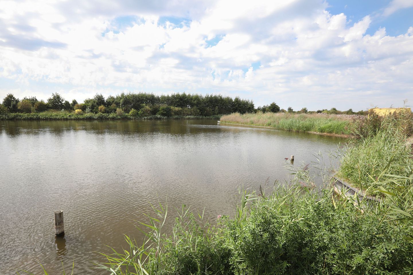 Photo 14 of Parnassialaan 196