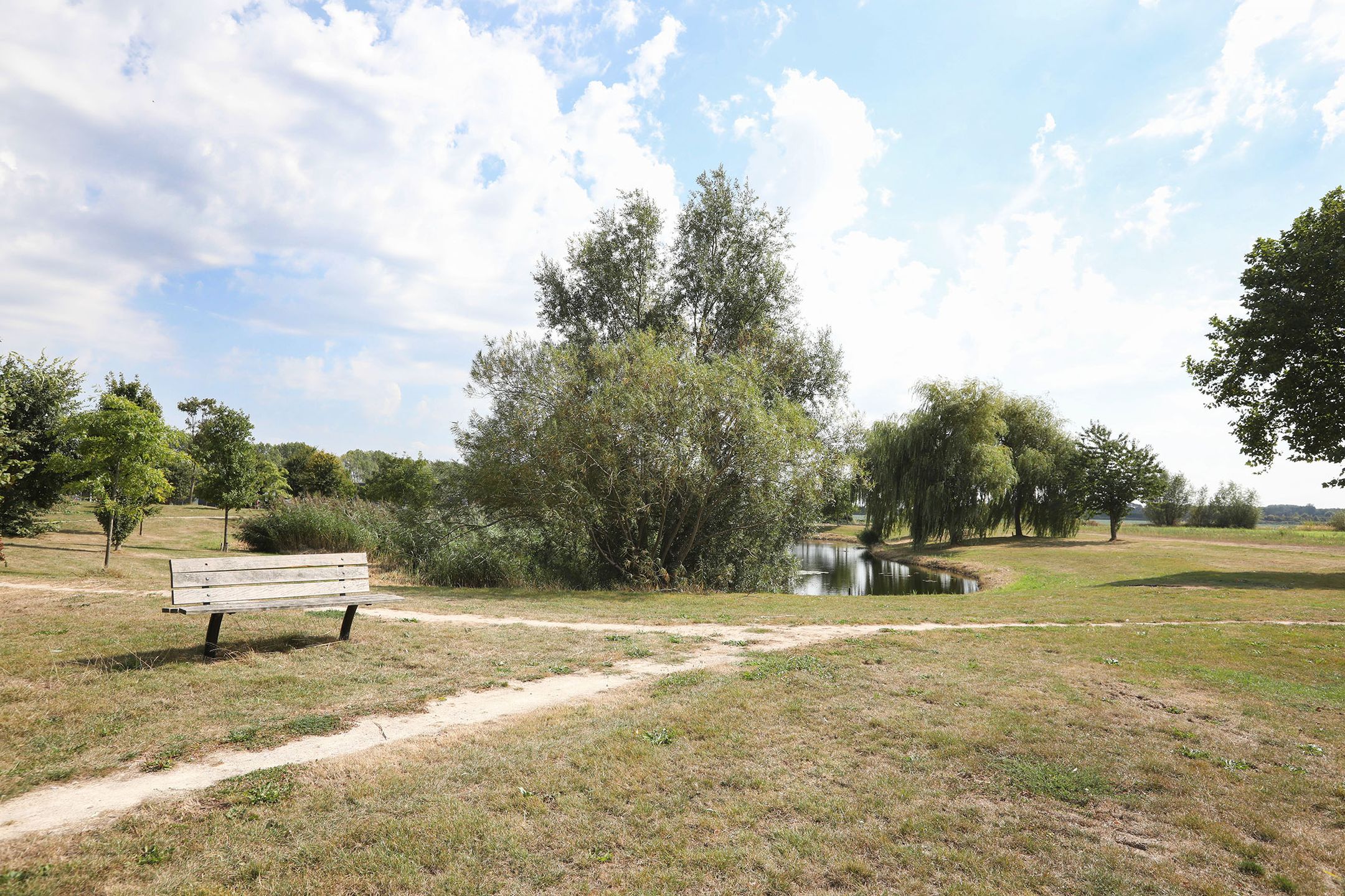 Photo 18 of Parnassialaan 196