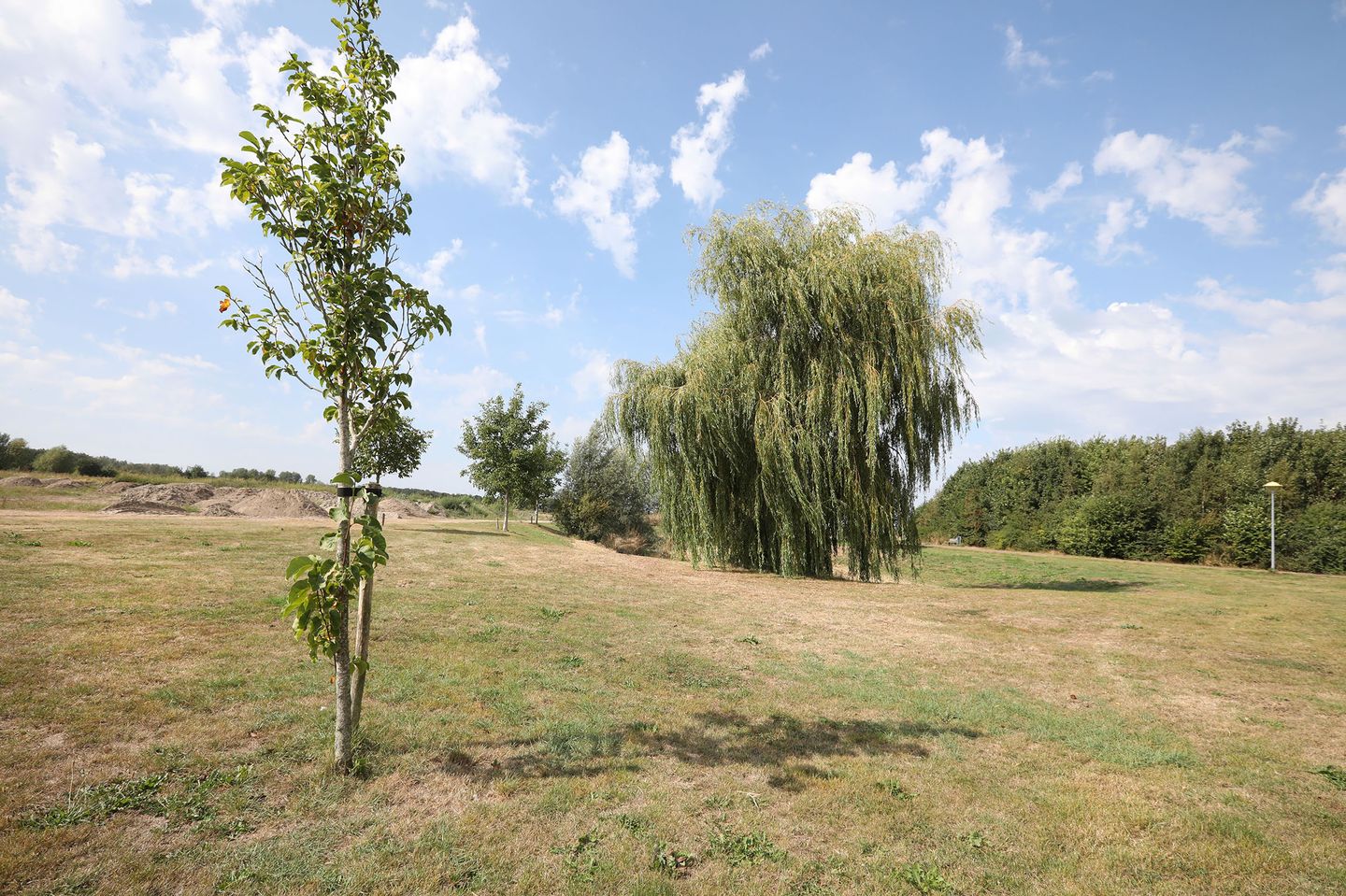 Photo 20 of Parnassialaan 196