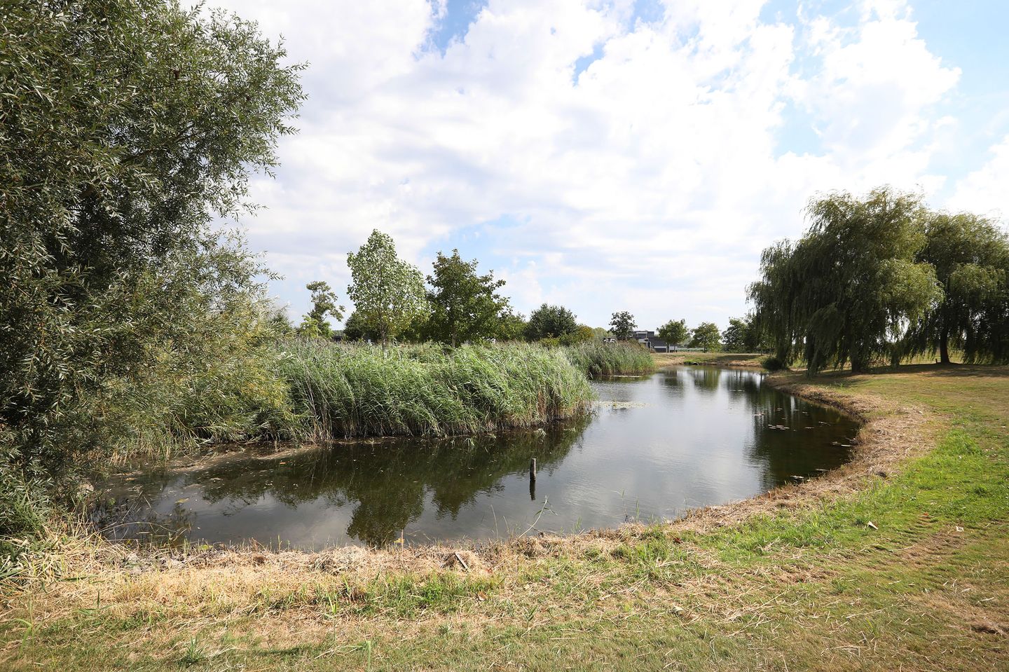 Photo 19 of Parnassialaan 196