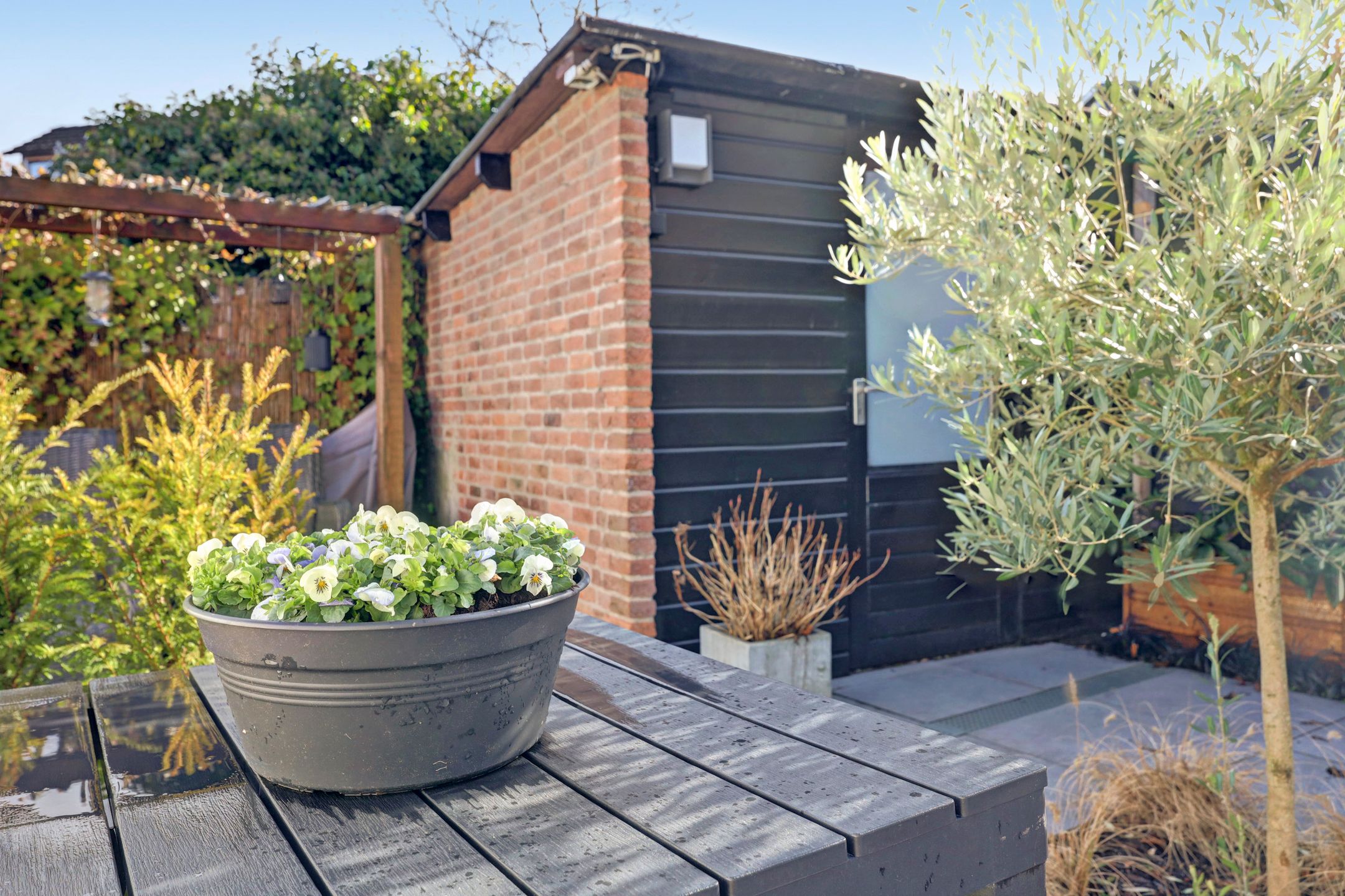 Foto 45 van Pieter Bruegellaan 4