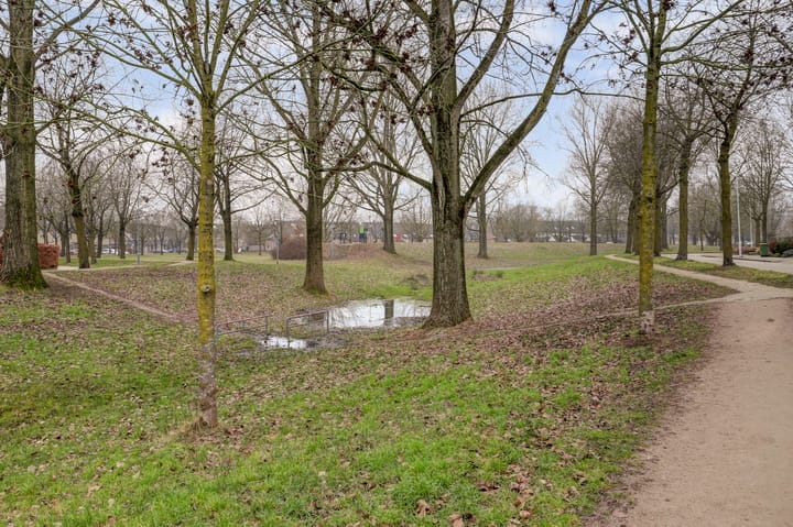 Foto 33 van Jan Steenlaan 97