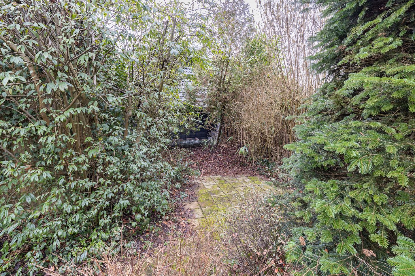 Photo 34 of Prinses-Beatrixlaan 5