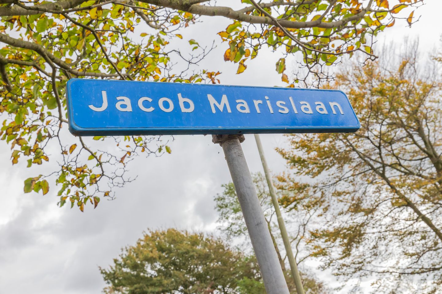 Photo 34 of Jacob Marislaan 25