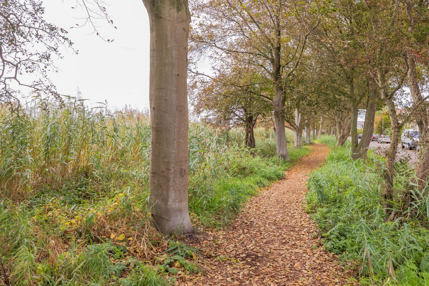 Photo 35 of Jacob Marislaan 25