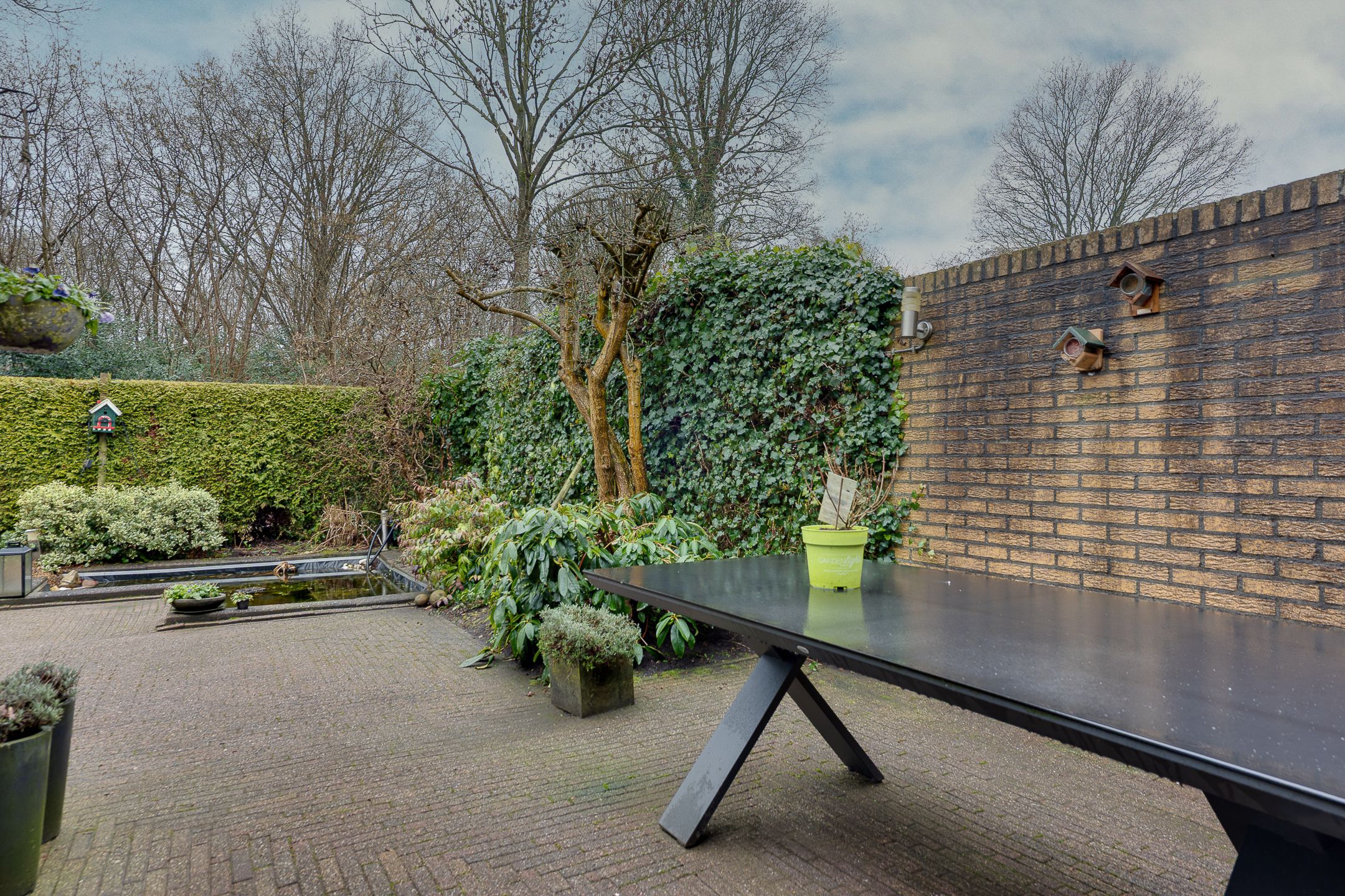 Photo 24 of Schanswal 26