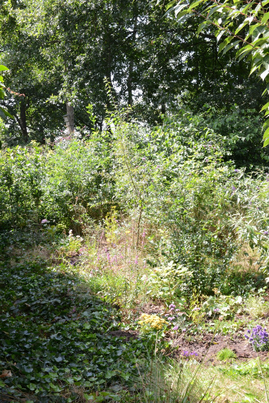 Photo 32 of Waterman 10