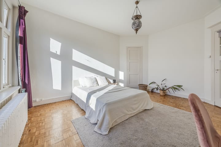 Photo 57 of Koningin Wilhelminalaan 520