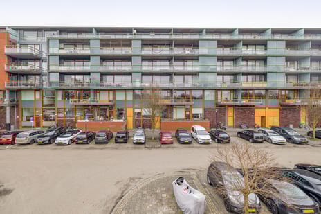 undefined main image