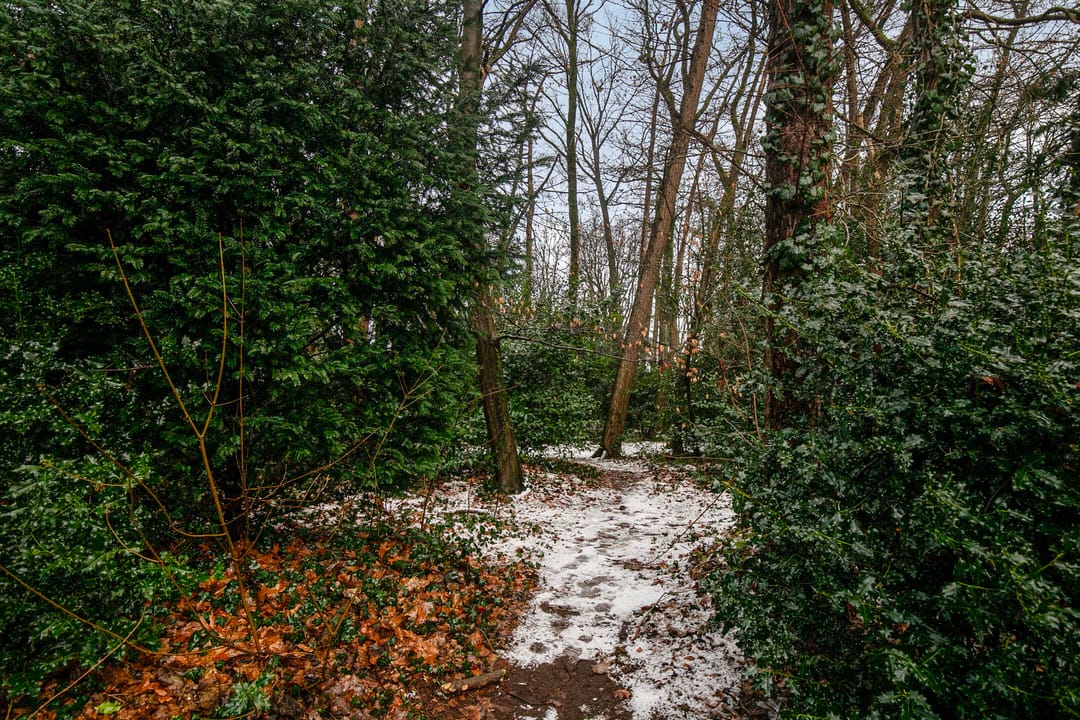 Foto 41 van Wagenaarlaan 36