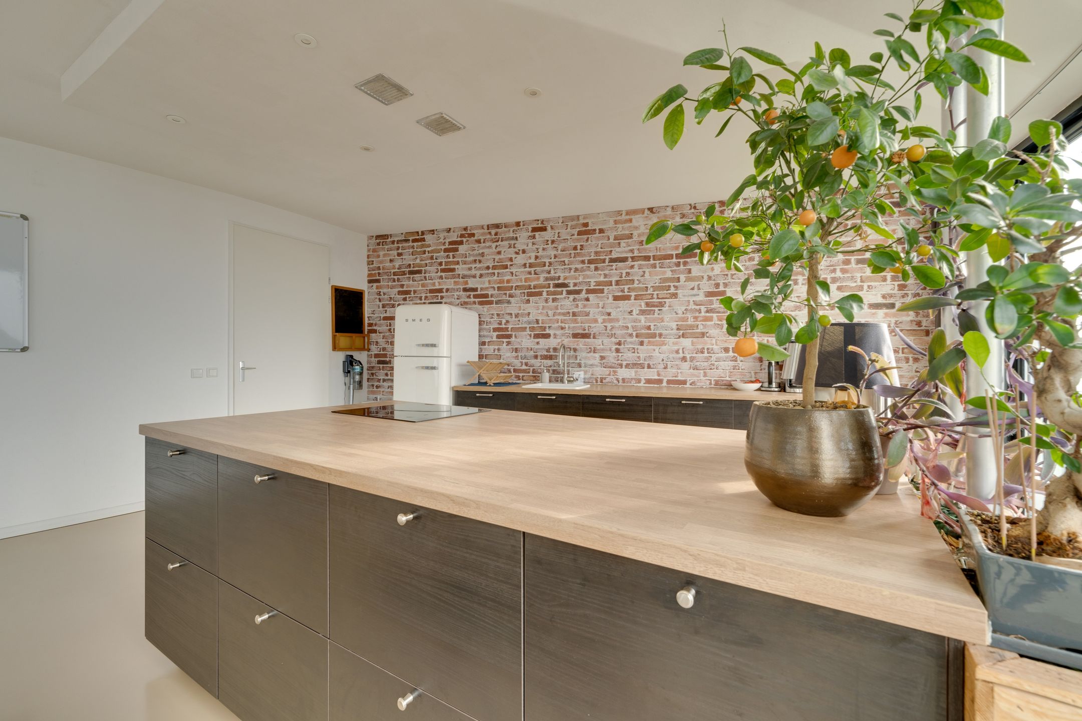 Photo 21 of Oeverpad 201