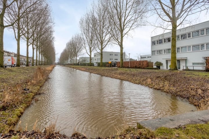 Foto 50 van Schipluidenlaan 235