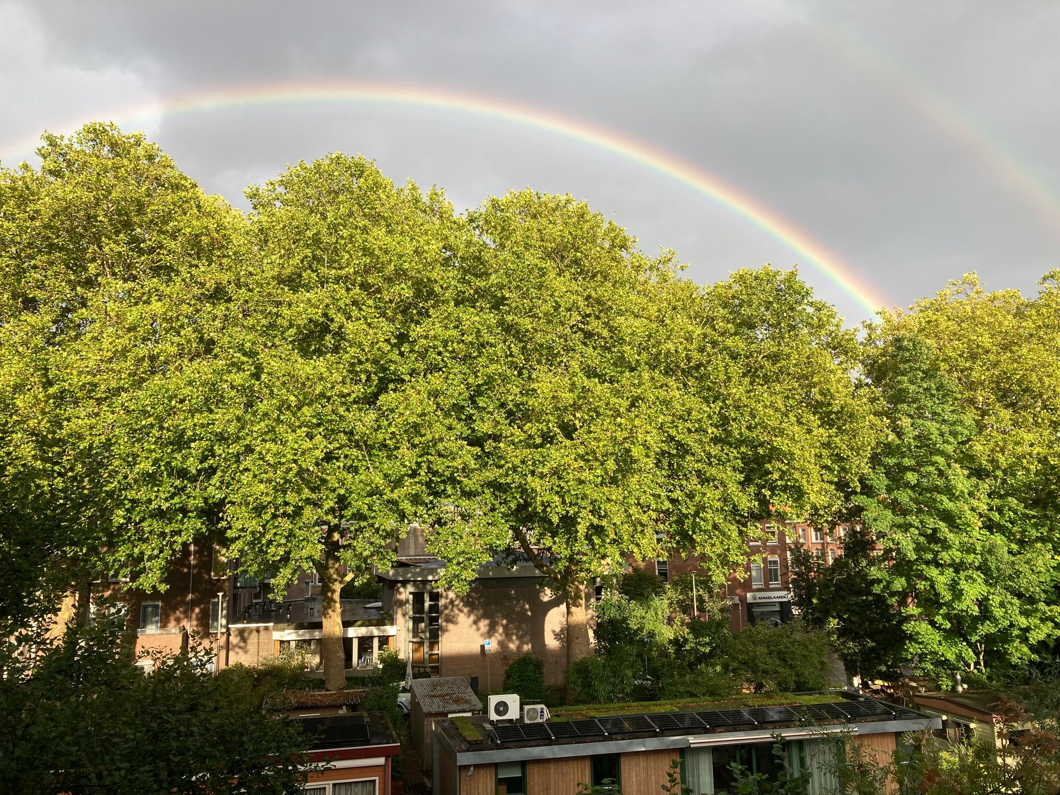 Foto 18 van Tanimbarkade 85