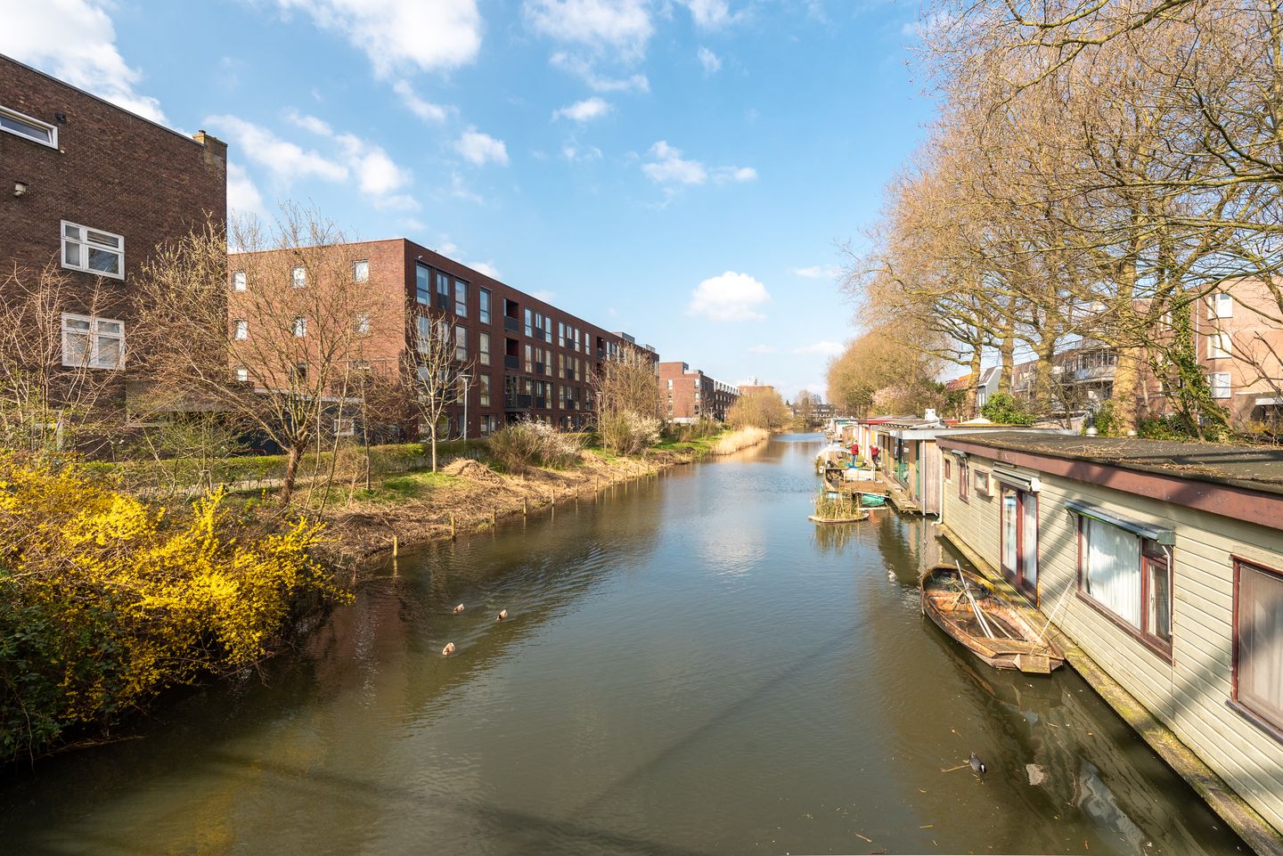 Foto 34 van Tanimbarkade 85