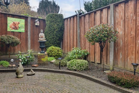 Ribbelerbrinkstraat 117 tertiary image