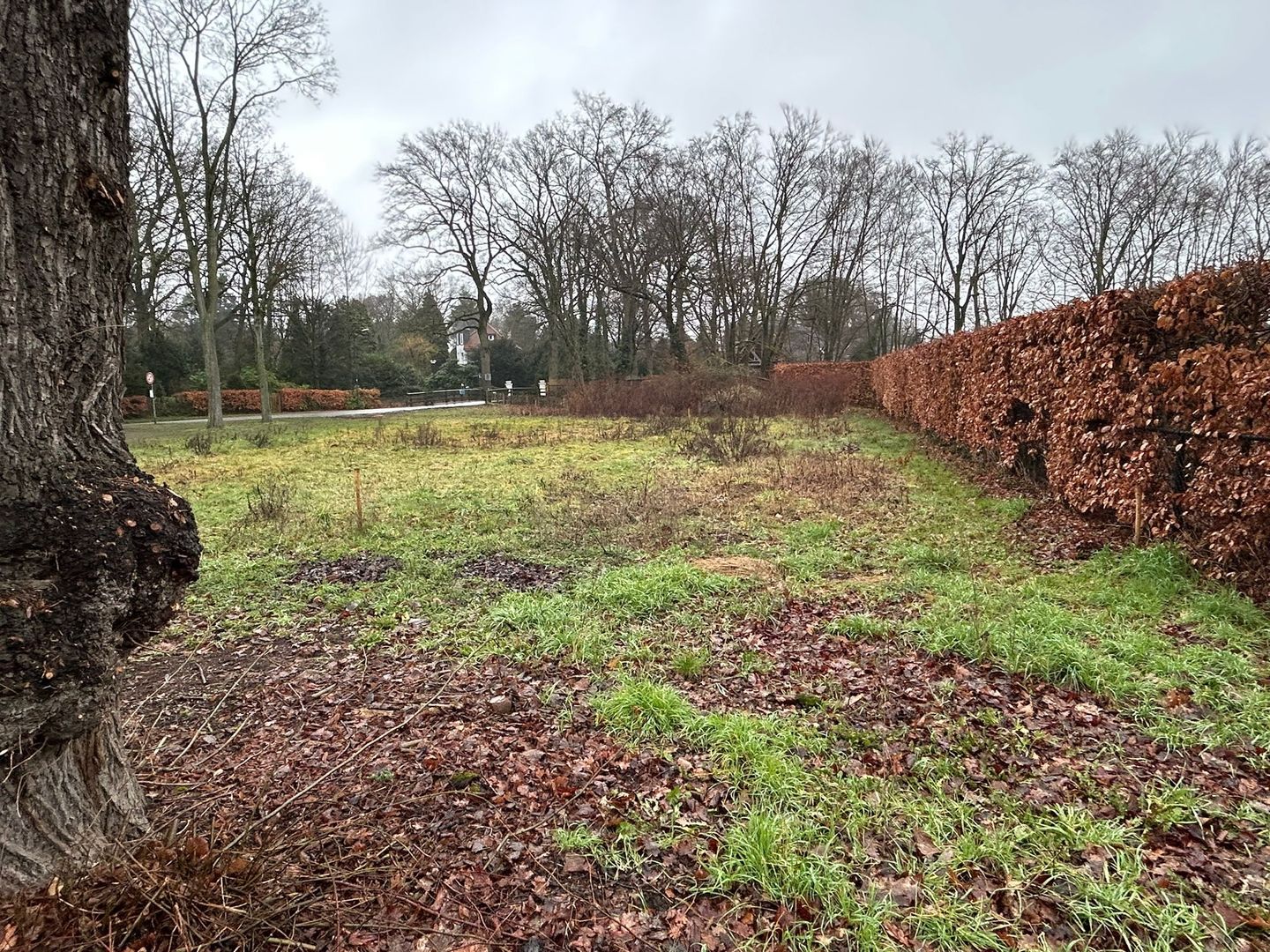 Foto 4 van Pastoor Thijssenlaan