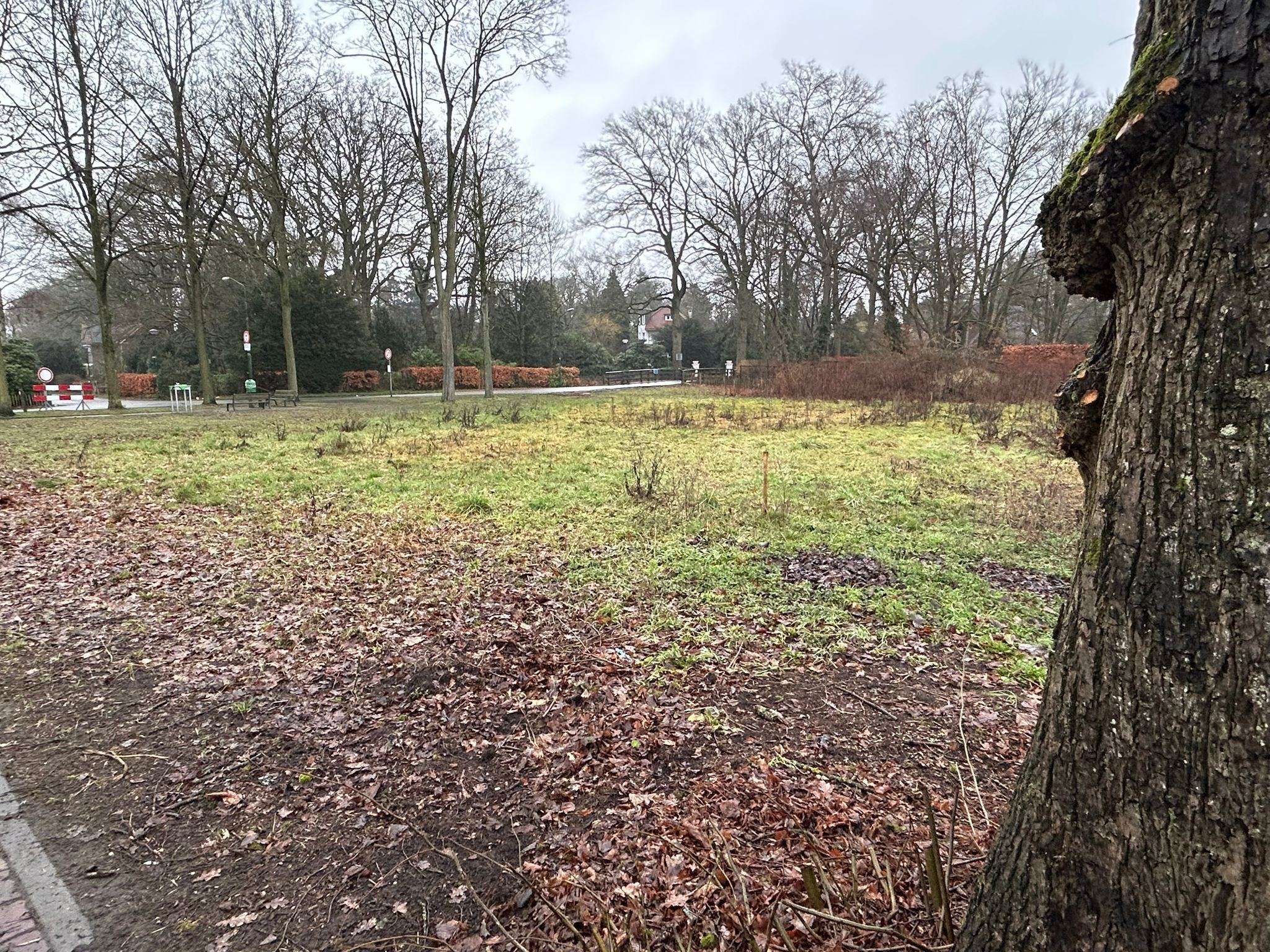 Foto 6 van Pastoor Thijssenlaan