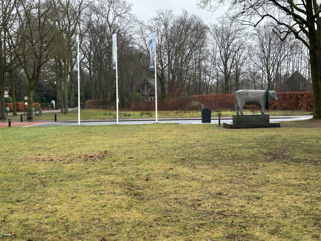 Foto 7 van Pastoor Thijssenlaan