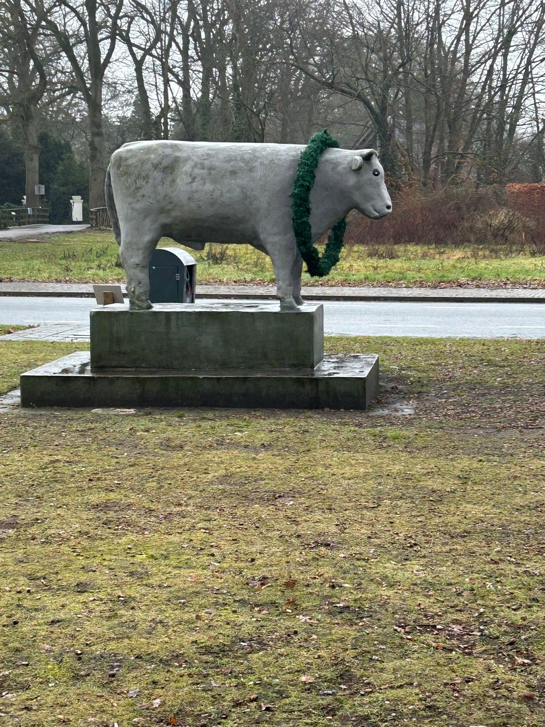 Foto 8 van Pastoor Thijssenlaan