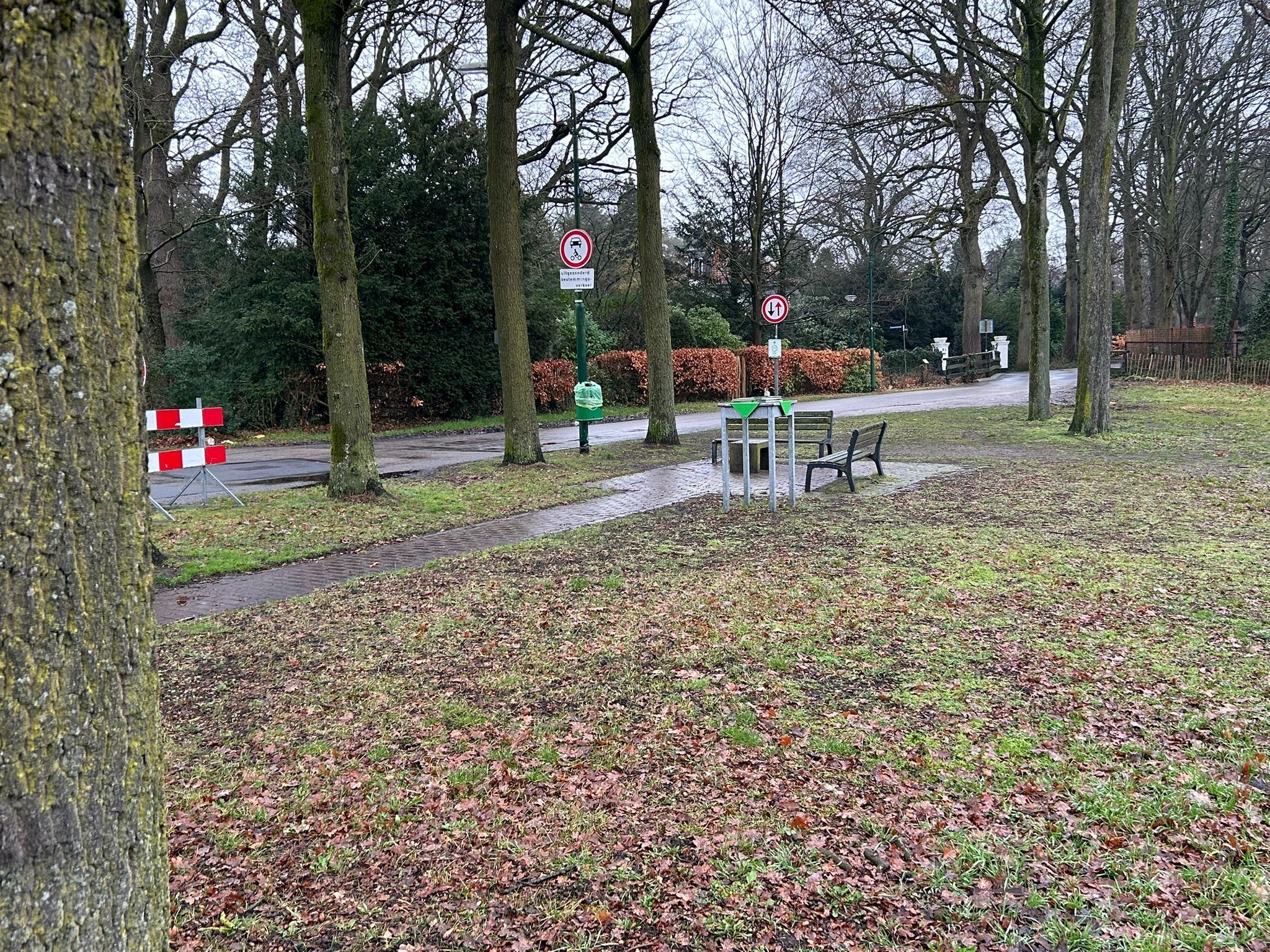 Foto 9 van Pastoor Thijssenlaan