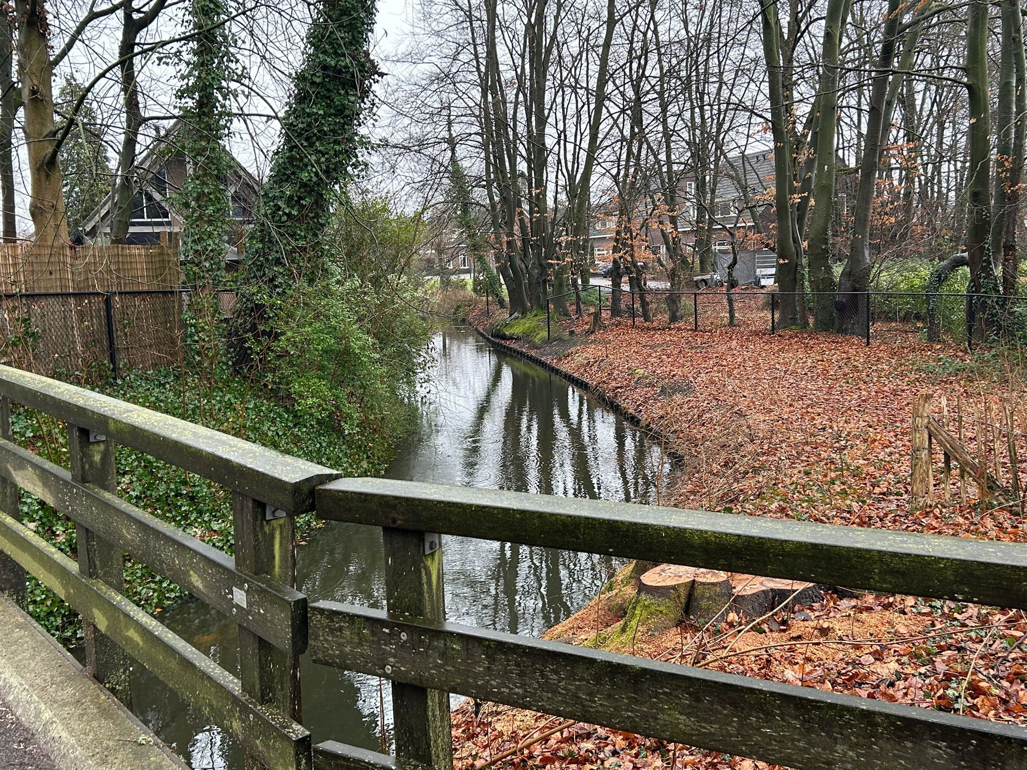 Foto 15 van Pastoor Thijssenlaan