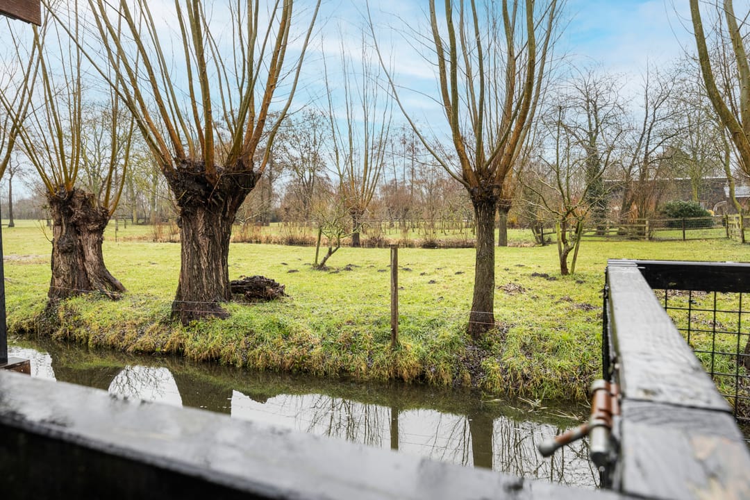 Photo 11 of Schoolstraat 16