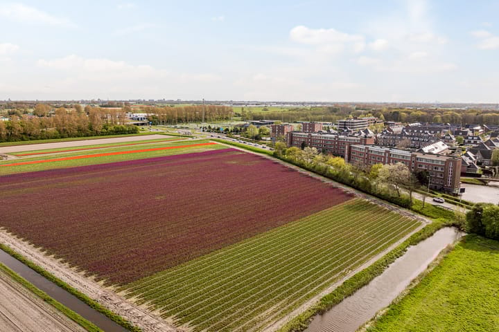 Foto 4 van Peterhof 52