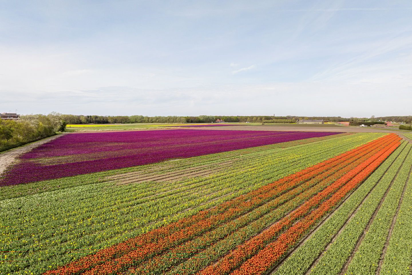 Foto 35 van Peterhof 52