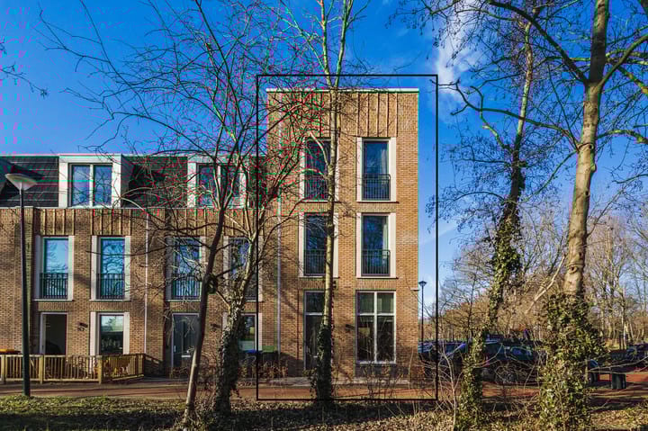 Photo 55 of Thomas Mannsingel 14