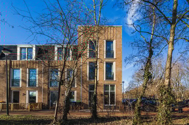 Photo 61 of Thomas Mannsingel 14