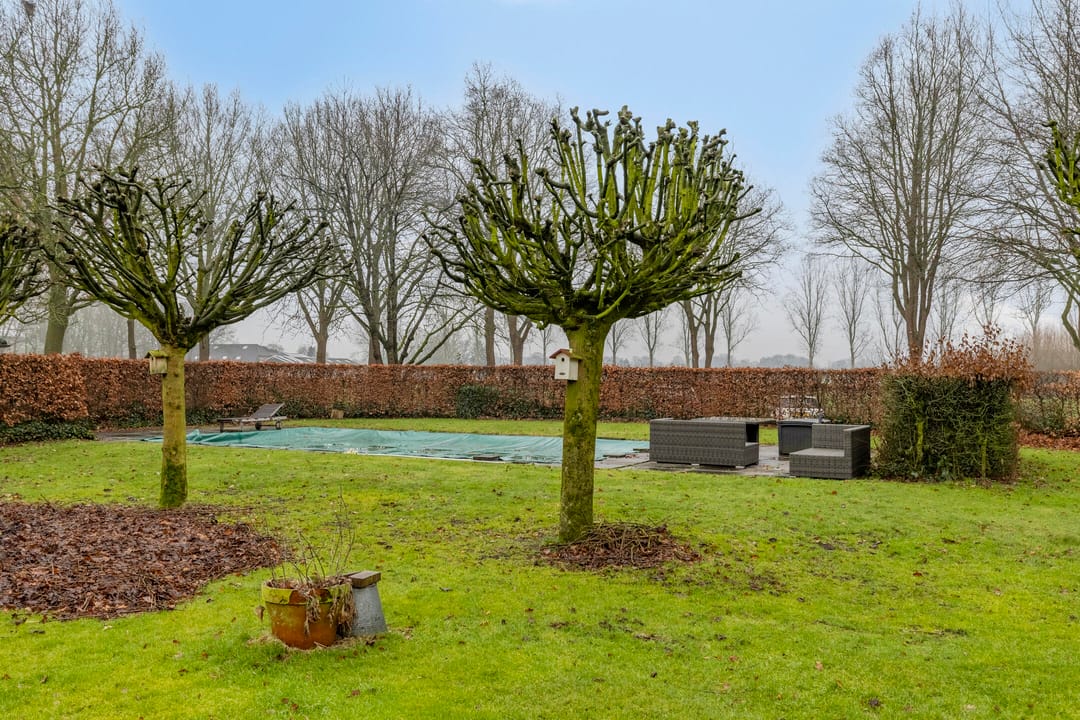 Photo 91 of Wijststraat 29
