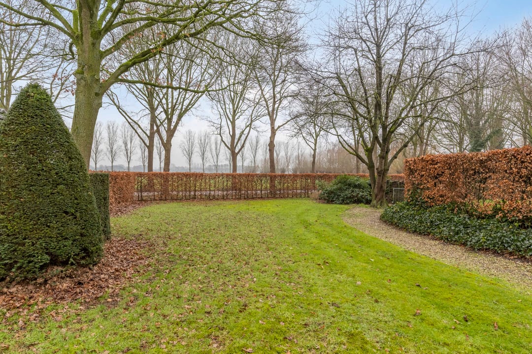 Photo 142 of Wijststraat 29
