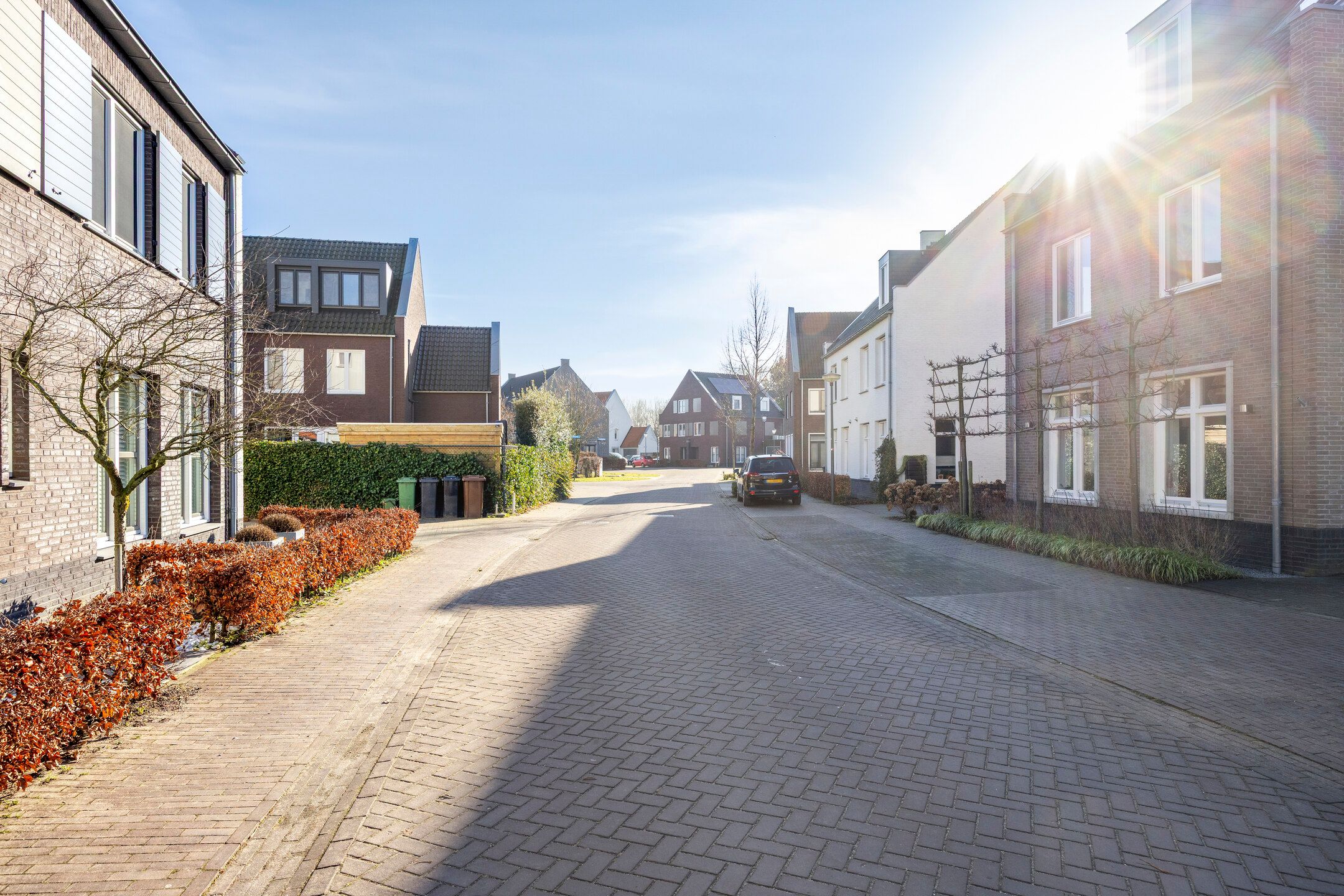 Foto 6 van Bomenbeemd 57