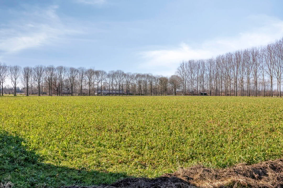 Foto 61 van Bomenbeemd 57