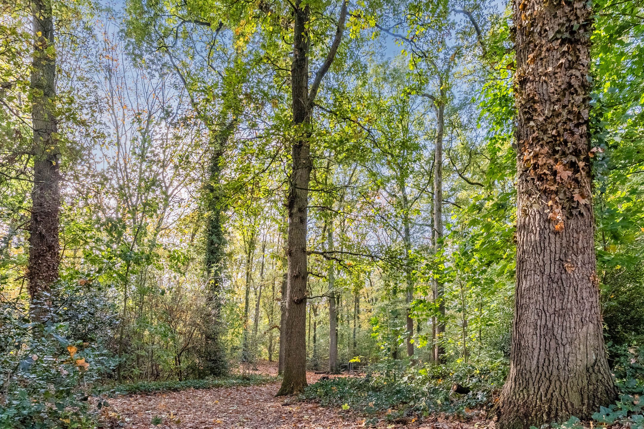 Foto 45 van Tivolilaan 63