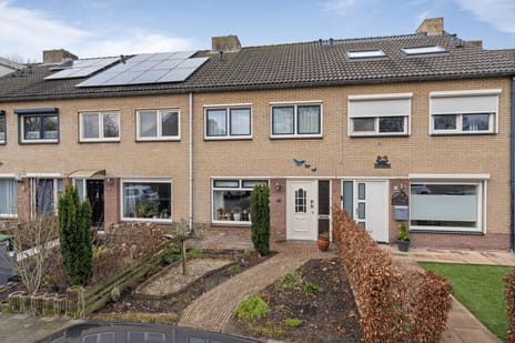 undefined main image