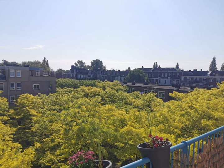 Foto 2 van Sajetplein 60