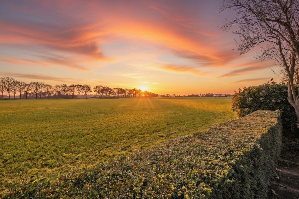 Foto 66 van Jasmijnberg 48