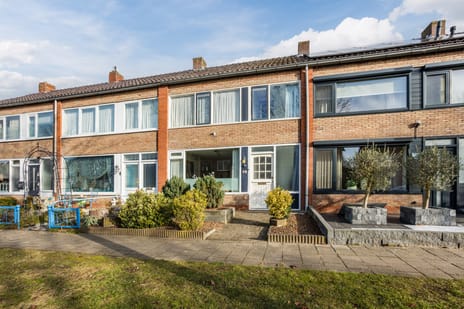 undefined main image