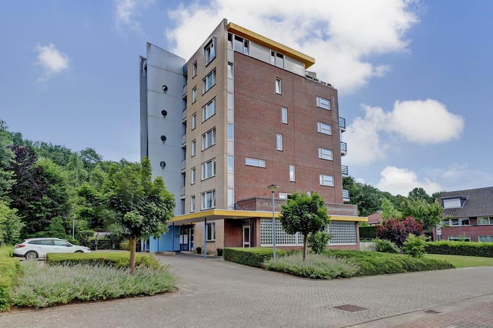 Foto 2 van Veldzuring 119