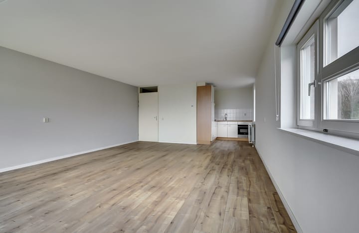 Foto 6 van Veldzuring 119