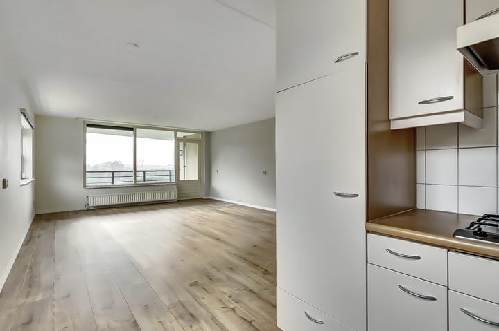 Foto 8 van Veldzuring 119