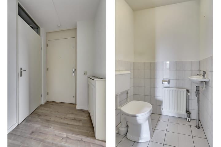 Foto 11 van Veldzuring 119