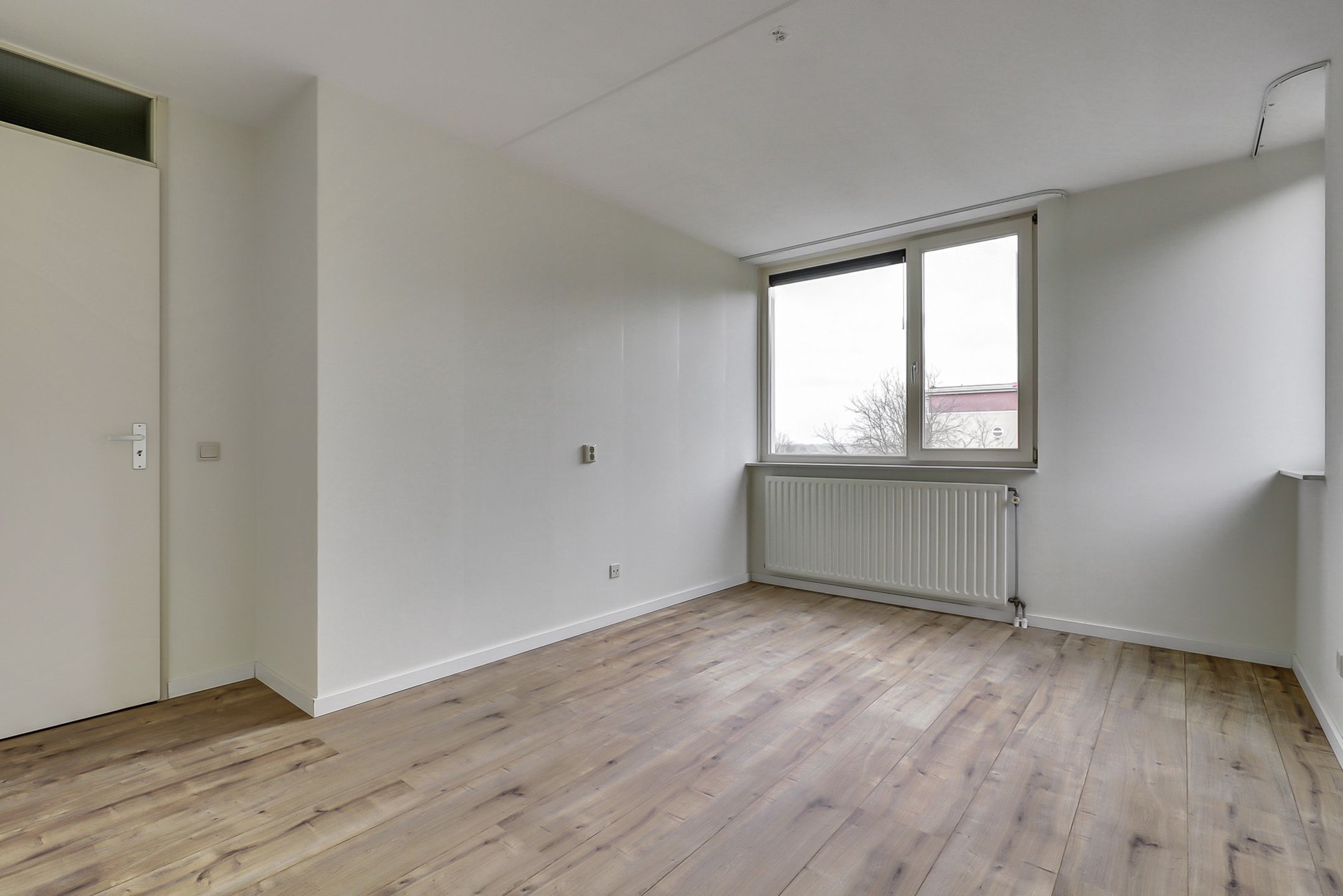 Photo 12 of Veldzuring 119