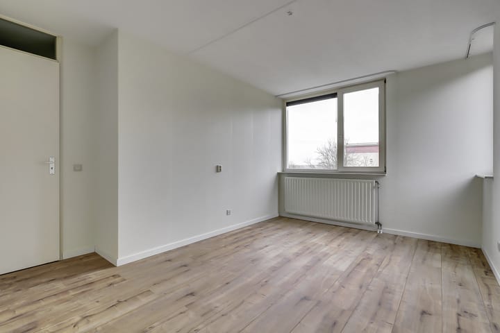 Foto 12 van Veldzuring 119